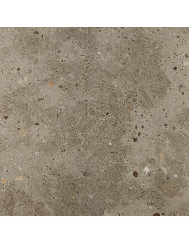 GRÈGE REF: GDM50707