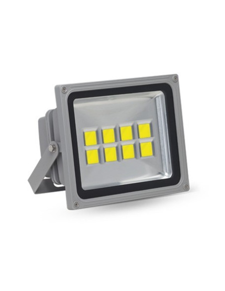 Projecteur 100W 220-240V AC CoB